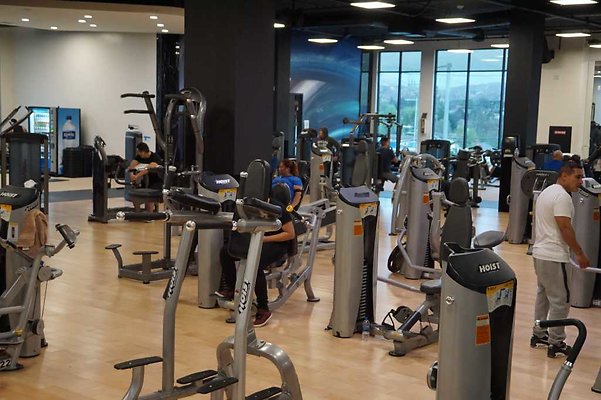 Sylmar Gym 50