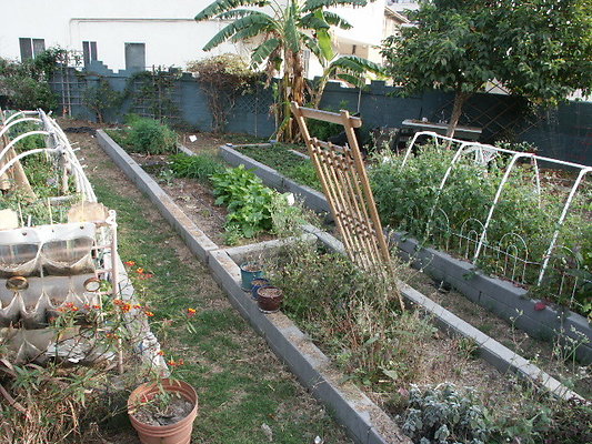 Mans.Fount.Comm.Gardens.12