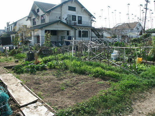 Crenshaw Community Garden