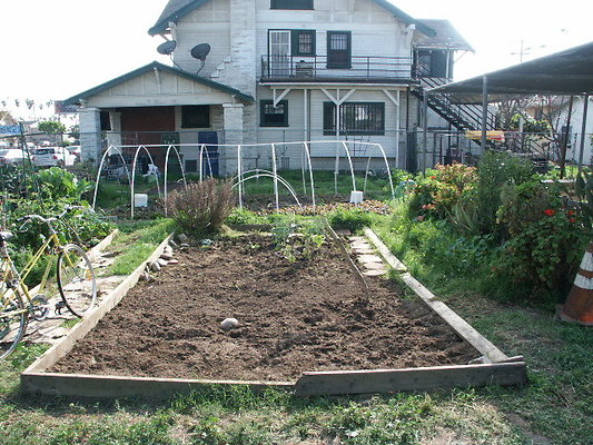 Crenshaw.Comm.Garden.15