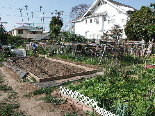 Crenshaw.Comm.Garden.05
