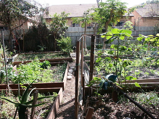 Union.Ave.Comm.Garden.07
