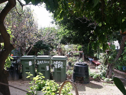 Union.Ave.Comm.Garden.45