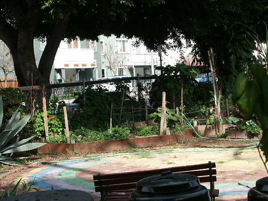 Union.Ave.Comm.Garden.22