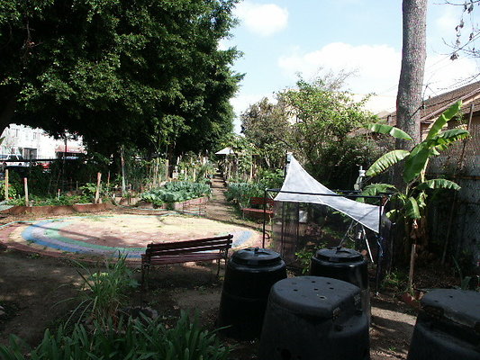 Union.Ave.Comm.Garden.16