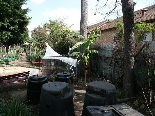 Union.Ave.Comm.Garden.19