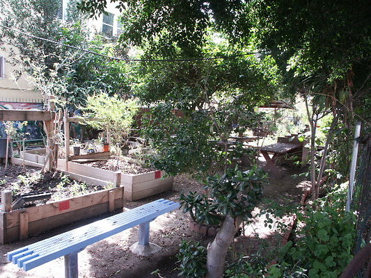 Union.Ave.Comm.Garden.37