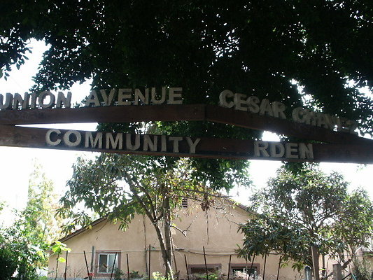 Union Avenue Community Garden.DTLA