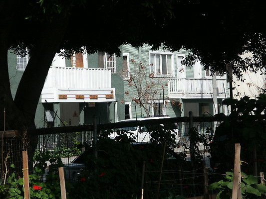 Union.Ave.Comm.Garden.21