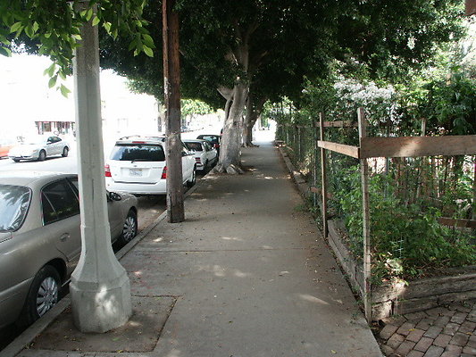 Union.Ave.Comm.Garden.27