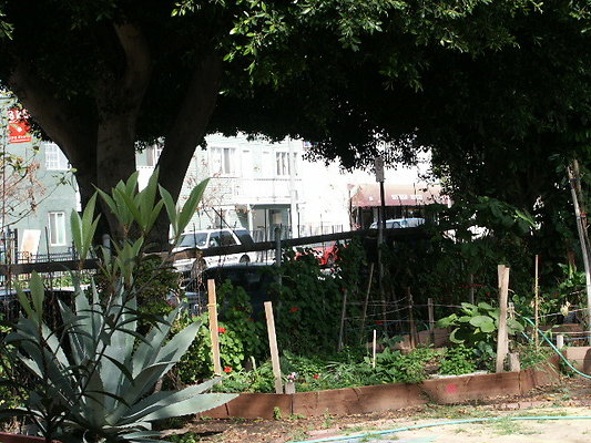 Union.Ave.Comm.Garden.20