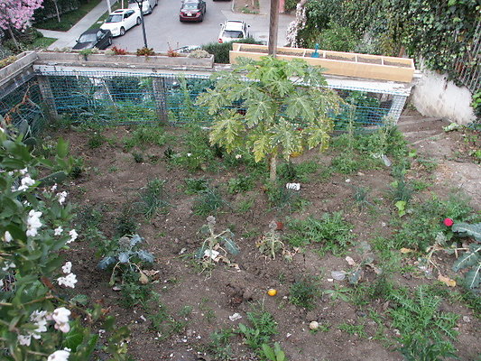 Manzanita.St.Comm.Garden.29