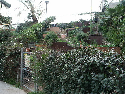 Manzanita.St.Comm.Garden.42