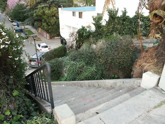 Manzanita.St.Comm.Garden.27
