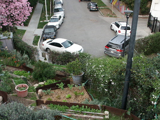 Manzanita.St.Comm.Garden.26