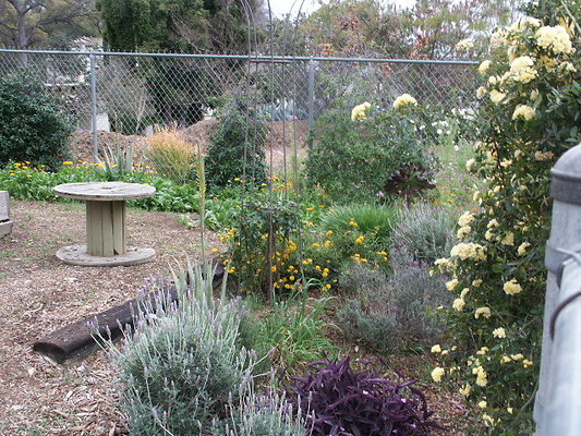 El.Sereno.Comm.Gardens.38