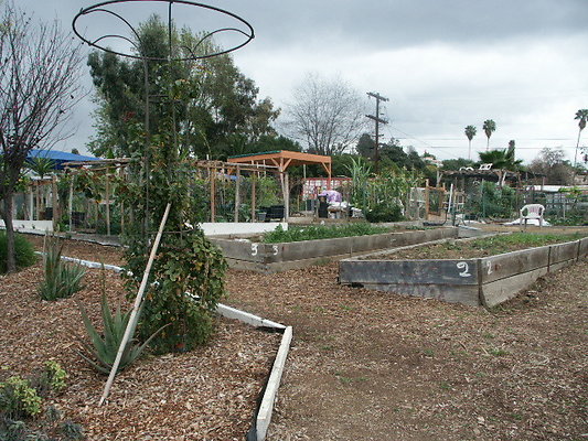 El.Sereno.Comm.Gardens.23