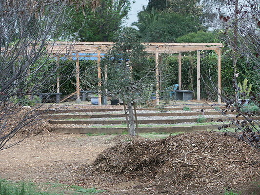 El.Sereno.Comm.Gardens.08