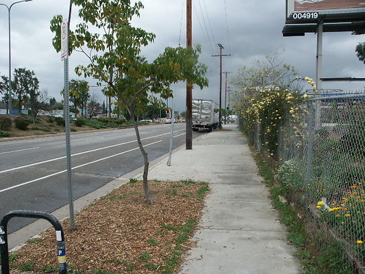 El.Sereno.Comm.Gardens.45