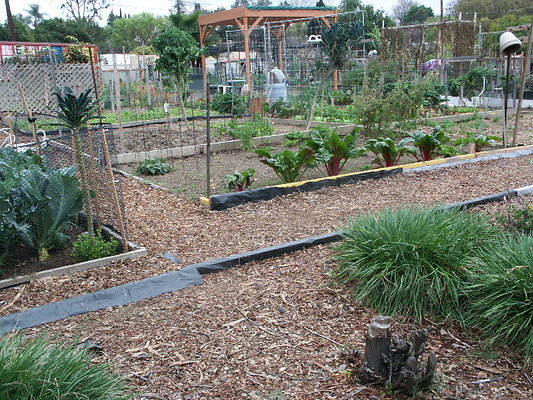 El.Sereno.Comm.Gardens.30