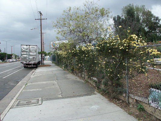 El.Sereno.Comm.Gardens.42