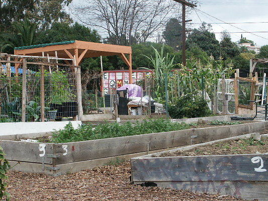 El.Sereno.Comm.Gardens.21