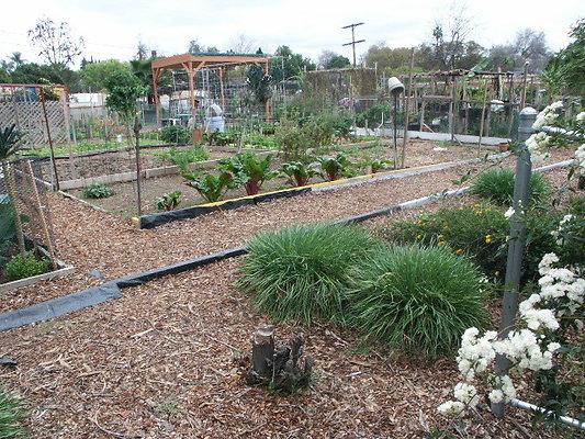 El.Sereno.Comm.Gardens.28