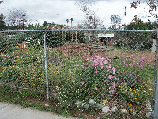 El.Sereno.Comm.Gardens.46