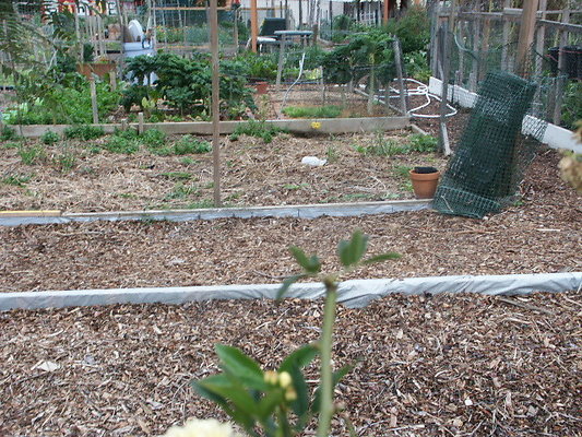 El.Sereno.Comm.Gardens.33