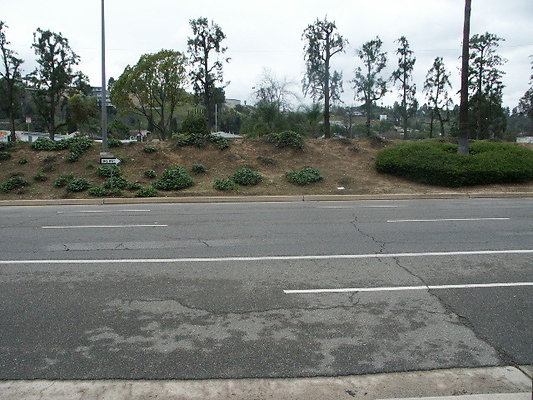 El.Sereno.Comm.Gardens.44
