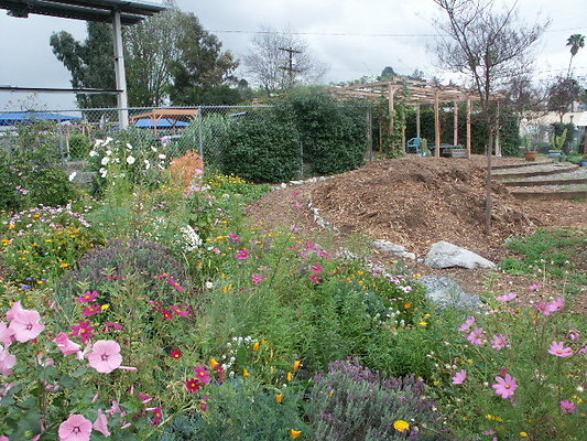 El.Sereno.Comm.Gardens.14