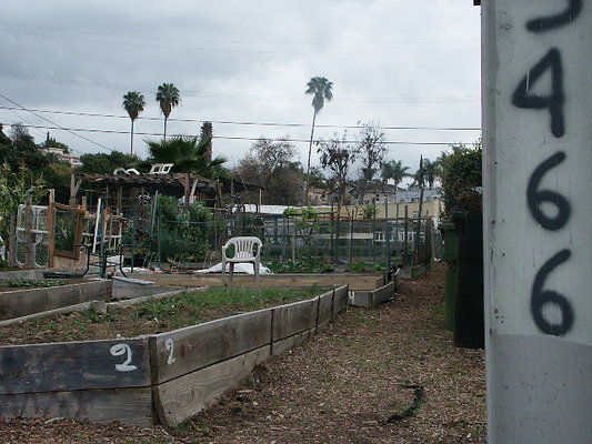 El.Sereno.Comm.Gardens.24