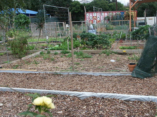El.Sereno.Comm.Gardens.35