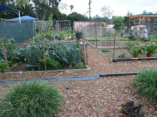 El.Sereno.Comm.Gardens.25