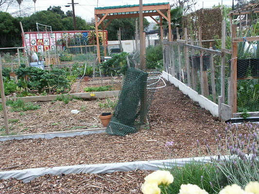 El.Sereno.Comm.Gardens.34