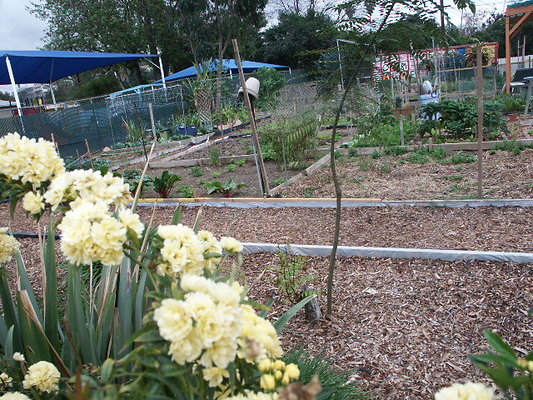 El.Sereno.Comm.Gardens.32