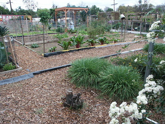 El.Sereno.Comm.Gardens.26