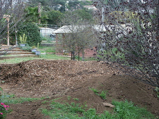 El.Sereno.Comm.Gardens.07