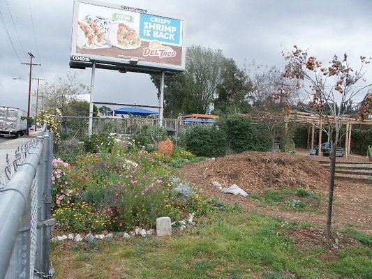 El.Sereno.Comm.Gardens.13