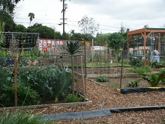 El.Sereno.Comm.Gardens.27
