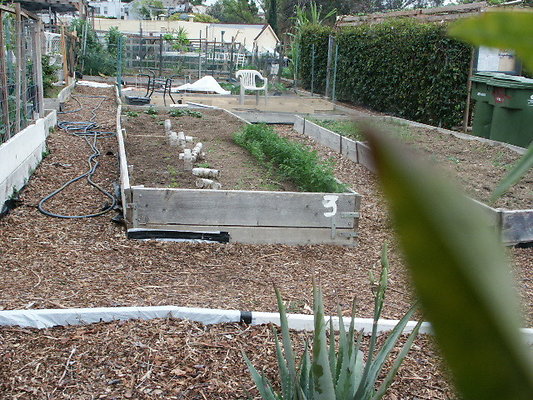 El.Sereno.Comm.Gardens.37