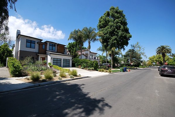 DSC 3551