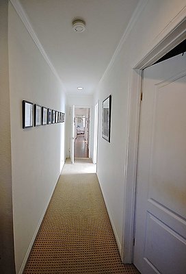 DSC 9351