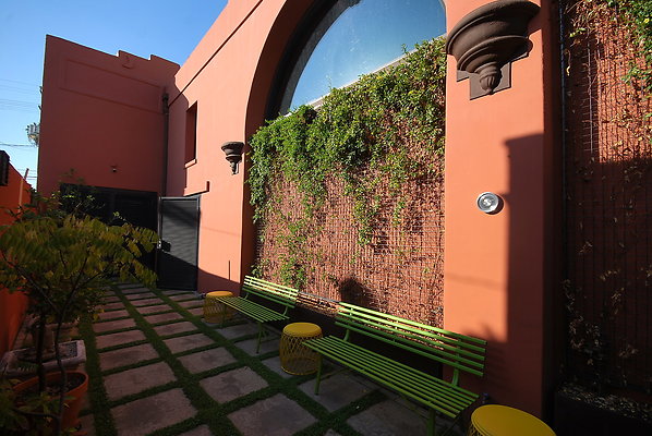 DSC 3587