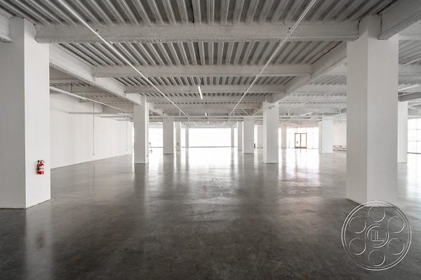 wall-street image 15 wall-street image 15