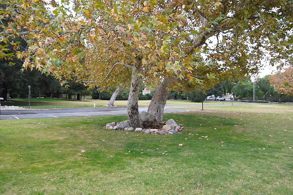 Middle.Ranch.LV.Terr.West.18
