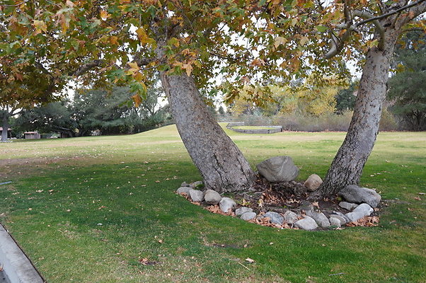 Middle.Ranch.LV.Terr.West.04