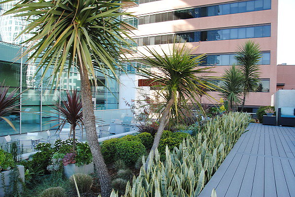 Watermark.Pool.DTLA.96