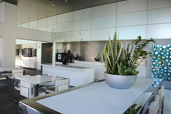Watermark.Pool.DTLA.60