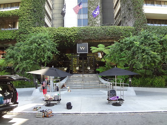 W Hotel.Westwood.57